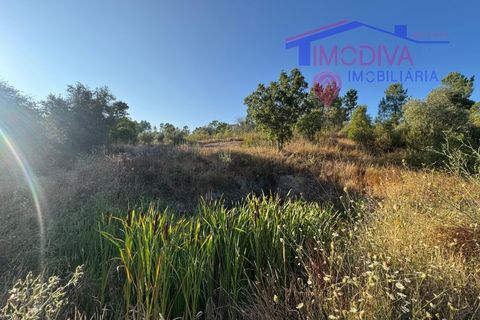 Villa a Serta, Castelo Branco, Serta - € 120.000 | Ref: VV419/0825 - foto 31