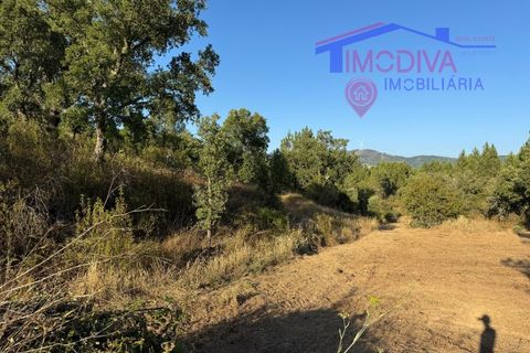 Villa a Serta, Castelo Branco, Serta - € 120.000 | Ref: VV419/0825 - foto 32