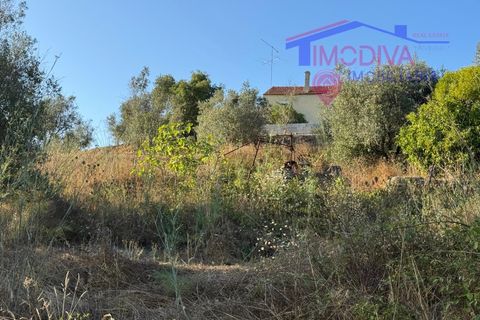 Villa a Serta, Castelo Branco, Serta - € 120.000 | Ref: VV419/0825 - foto 33