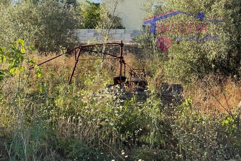 Villa a Serta, Castelo Branco, Serta - € 120.000 | Ref: VV419/0825 - foto 34