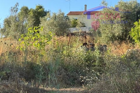 Villa a Serta, Castelo Branco, Serta - € 120.000 | Ref: VV419/0825 - foto 35