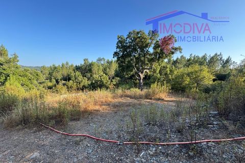 Villa a Serta, Castelo Branco, Serta - € 120.000 | Ref: VV419/0825 - foto 36