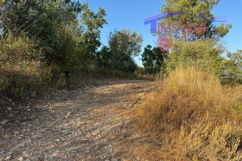 Villa a Serta, Castelo Branco, Serta - € 120.000 | Ref: VV419/0825 - foto 38