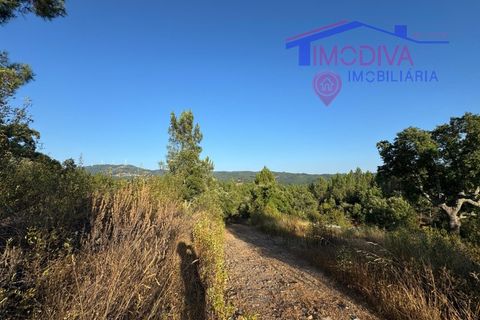 Villa a Serta, Castelo Branco, Serta - € 120.000 | Ref: VV419/0825 - foto 39