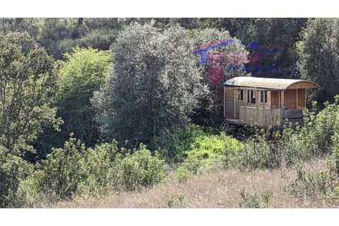 Villa a Serta, Castelo Branco, Serta - € 120.000 | Ref: VV419/0825 - foto 11