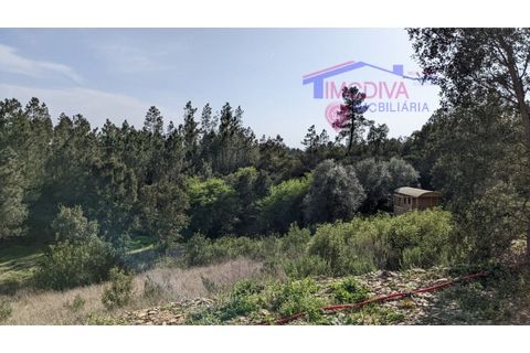 Villa a Serta, Castelo Branco, Serta - € 120.000 | Ref: VV419/0825 - foto 40