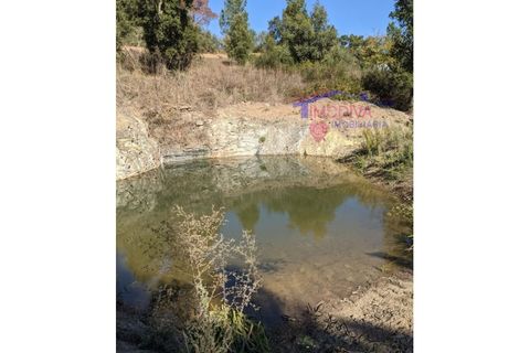 Villa a Serta, Castelo Branco, Serta - € 120.000 | Ref: VV419/0825 - foto 41