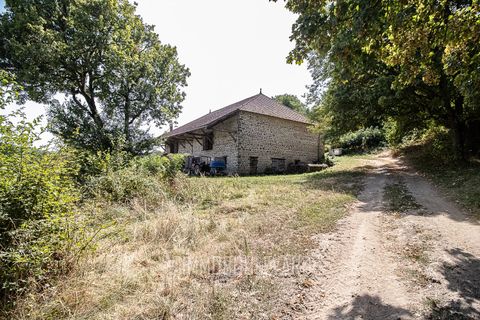 Villa a Auzances, Creuse, Auzances - € 311.800 | Ref: NB-13519 - foto 34