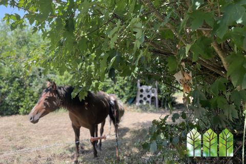 Villa i La Cellette, Creuse, La Cellette - € 160.000 | Ref: CS1251-ATTEGIA - foto 4