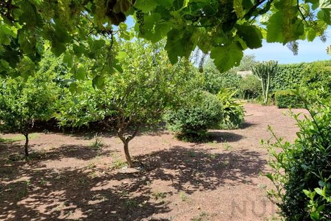 Villa i Silves, Faro, Silves - € 500.000 | Ref: NU_5145 - foto 39