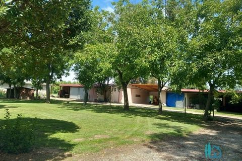 Villa en Caorle, Venice, Caorle - € 495.000 | Ref: 43216 - photo 5