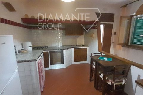 Farm i Cinigiano, Grosseto, Cinigiano - € 790.000 | Ref: AZ378 - foto 5