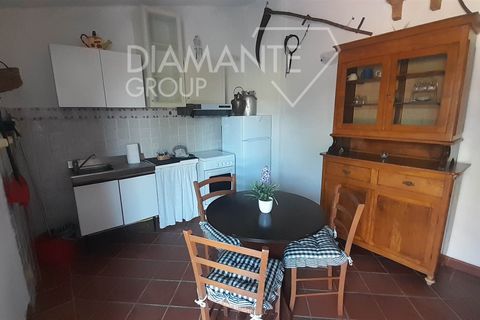 Farm i Cinigiano, Grosseto, Cinigiano - € 790.000 | Ref: AZ378 - foto 6