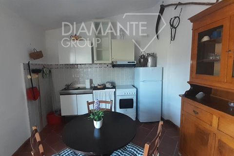 Farm i Cinigiano, Grosseto, Cinigiano - € 790.000 | Ref: AZ378 - foto 7