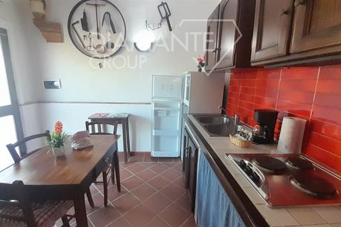 Farm i Cinigiano, Grosseto, Cinigiano - € 790.000 | Ref: AZ378 - foto 8