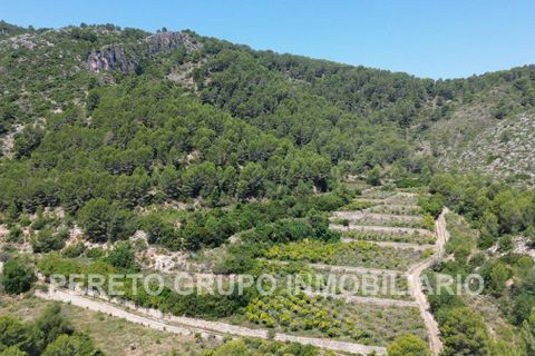 Helårsgrund i Oliva, Valencia, Oliva - € 330.000 | Ref: L001759 - foto 1