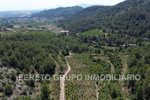 Helårsgrund i Oliva, Valencia, Oliva - € 330.000 | Ref: L001759 - foto 2