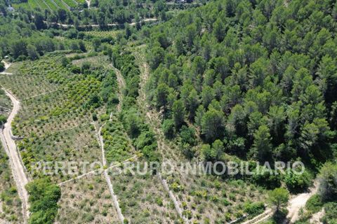 Helårsgrund i Oliva, Valencia, Oliva - € 330.000 | Ref: L001759 - foto 3