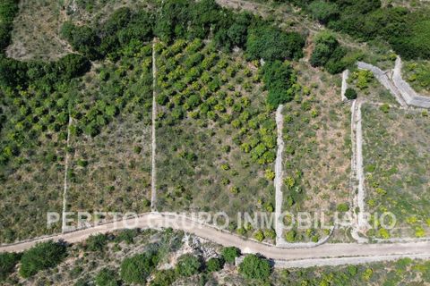 Helårsgrund i Oliva, Valencia, Oliva - € 330.000 | Ref: L001759 - foto 4