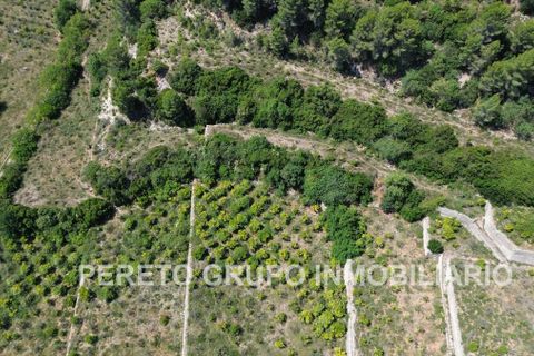 Helårsgrund i Oliva, Valencia, Oliva - € 330.000 | Ref: L001759 - foto 5