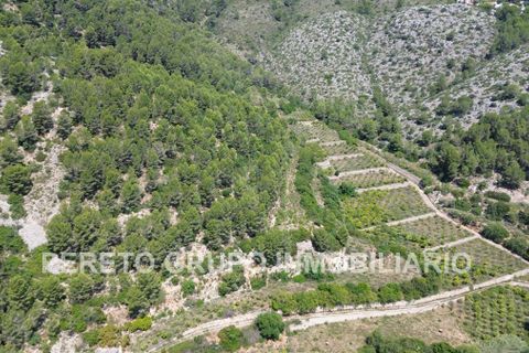 Helårsgrund i Oliva, Valencia, Oliva - € 330.000 | Ref: L001759 - foto 6