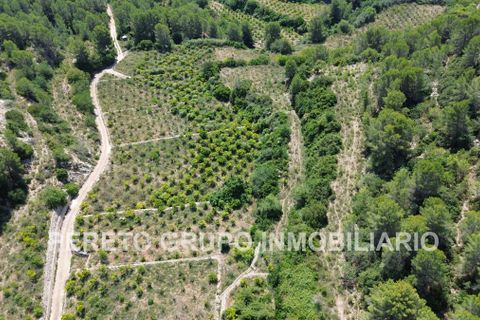 Helårsgrund i Oliva, Valencia, Oliva - € 330.000 | Ref: L001759 - foto 7