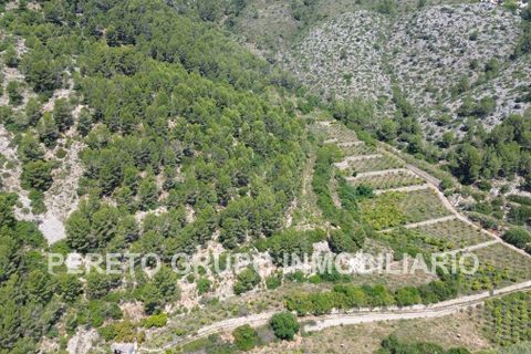 Helårsgrund i Oliva, Valencia, Oliva - € 330.000 | Ref: L001759 - foto 8