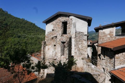Landejendom i Apricale, Imperia, Apricale - € 38.000 | Ref: 86145822 - foto 14