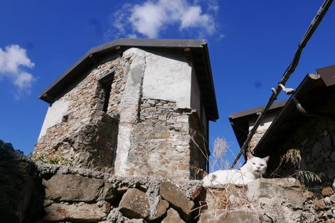 Landejendom i Apricale, Imperia, Apricale - € 38.000 | Ref: 86145822 - foto 15