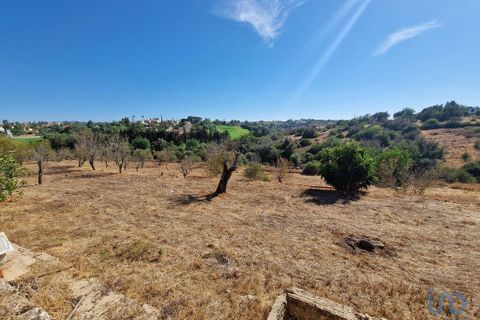 Byhus i Lagoa, Faro, Lagoa - € 850.000 | Ref: 147854 - foto 3