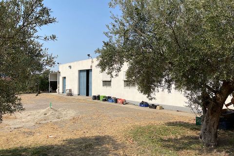 Landejendom i Tabernas, Almeria, Tabernas - € 275.000 | Ref: CAL438-25 - foto 2