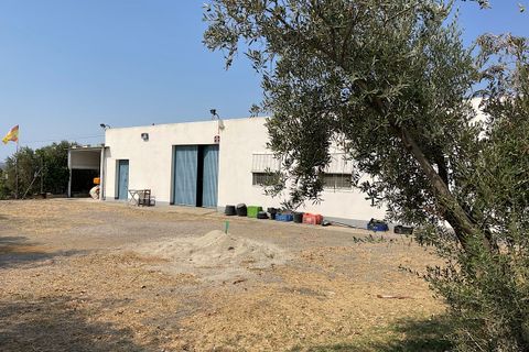Landejendom i Tabernas, Almeria, Tabernas - € 275.000 | Ref: CAL438-25 - foto 17