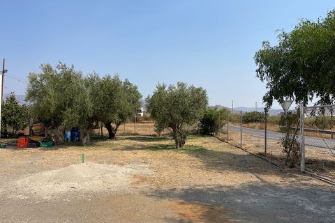 Landejendom i Tabernas, Almeria, Tabernas - € 275.000 | Ref: CAL438-25 - foto 18