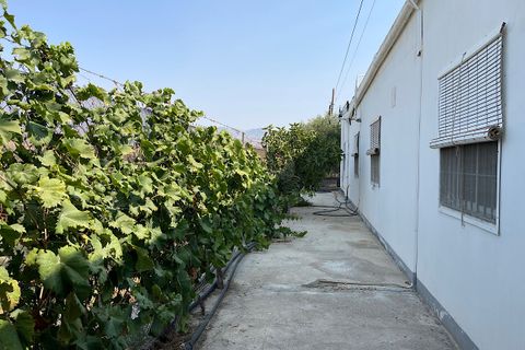 Landejendom i Tabernas, Almeria, Tabernas - € 275.000 | Ref: CAL438-25 - foto 21