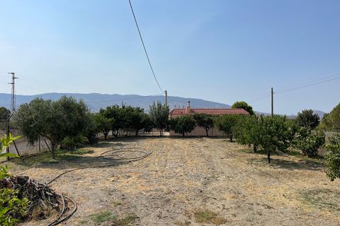 Landejendom i Tabernas, Almeria, Tabernas - € 275.000 | Ref: CAL438-25 - foto 22