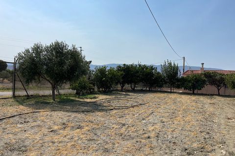 Landejendom i Tabernas, Almeria, Tabernas - € 275.000 | Ref: CAL438-25 - foto 24