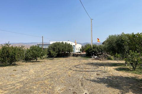 Landejendom i Tabernas, Almeria, Tabernas - € 275.000 | Ref: CAL438-25 - foto 26