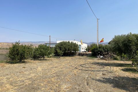 Landejendom i Tabernas, Almeria, Tabernas - € 275.000 | Ref: CAL438-25 - foto 28