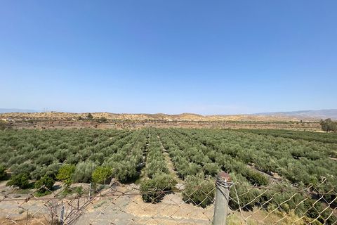 Landejendom i Tabernas, Almeria, Tabernas - € 275.000 | Ref: CAL438-25 - foto 31