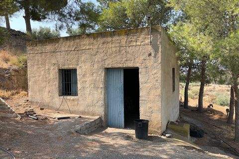 Landejendom i Tabernas, Almeria, Tabernas - € 275.000 | Ref: CAL438-25 - foto 35