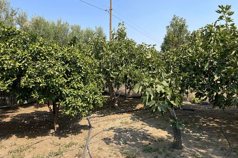 Landejendom i Tabernas, Almeria, Tabernas - € 275.000 | Ref: CAL438-25 - foto 36