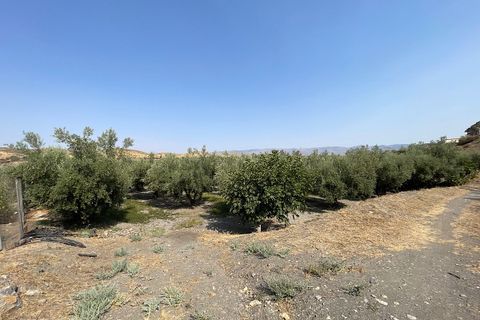 Landejendom i Tabernas, Almeria, Tabernas - € 275.000 | Ref: CAL438-25 - foto 39