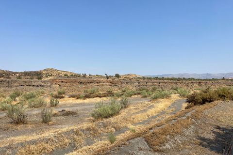 Landejendom i Tabernas, Almeria, Tabernas - € 275.000 | Ref: CAL438-25 - foto 41