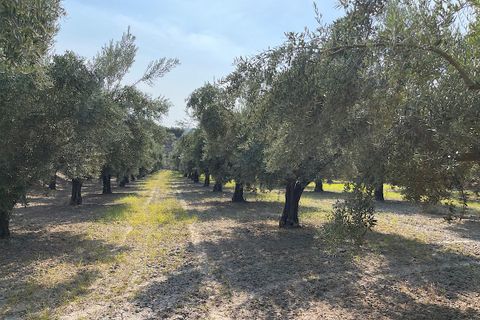 Landejendom i Tabernas, Almeria, Tabernas - € 275.000 | Ref: CAL438-25 - foto 45