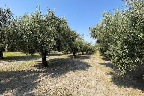 Landejendom i Tabernas, Almeria, Tabernas - € 275.000 | Ref: CAL438-25 - foto 48