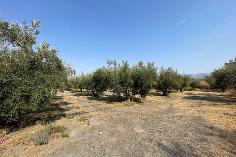Landejendom i Tabernas, Almeria, Tabernas - € 275.000 | Ref: CAL438-25 - foto 50