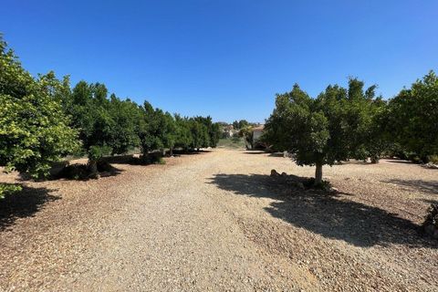 Villa a Vera, Almeria, Vera - € 695.000 | Ref: 2213 - foto 24