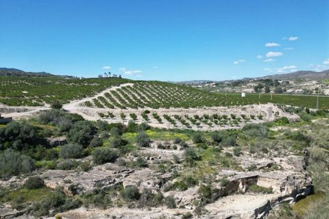Villa i Los Gallardos, Almeria, Los Gallardos - € 239.950 | Ref: 3002 - foto 29