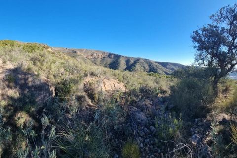 Finca i Bedar, Almeria, Bedar - € 59.000 | Ref: 2672 - foto 6
