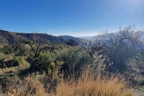 Finca i Bedar, Almeria, Bedar - € 59.000 | Ref: 2672 - foto 7